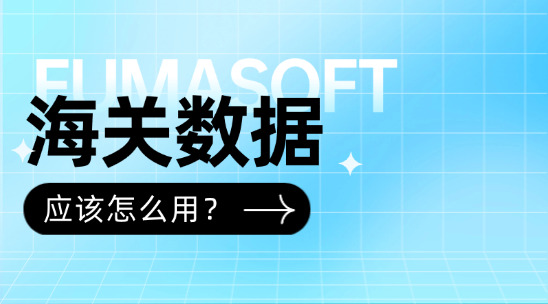 海关数据怎么用？从市场洞察到客户管理的全流程解析