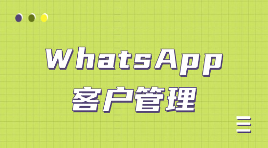 WhatsApp客户管理：AI智能体翻译 + 客户画像